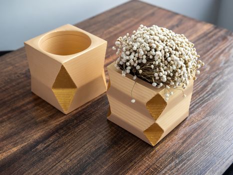 Cactus pot. Concrete pot. Two yellow modern geometric concrete planters with dry flowers on wooden table.