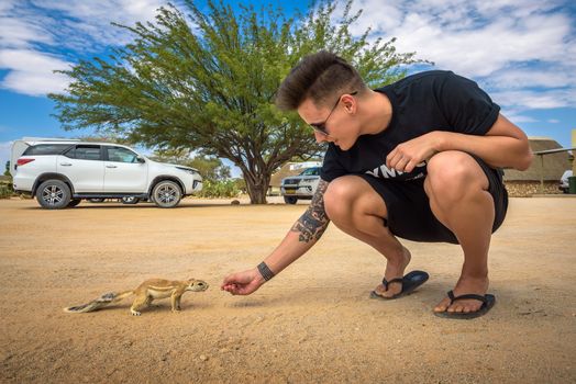 Solitaire, Namibia - March 29, 2019 : Tourist feeding a squirrel in Solitaire. Solitaire is a small settlement in the namibian desert near the Namib-Naukluft National Park.