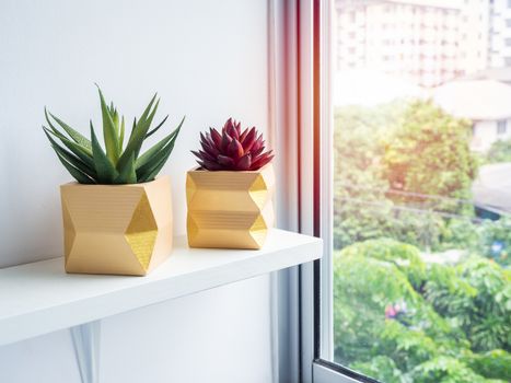 Cactus pot. Concrete pot. Two empty yellow modern geometric concrete planters with red and green succulent plant on white wooden shelf near glass window.