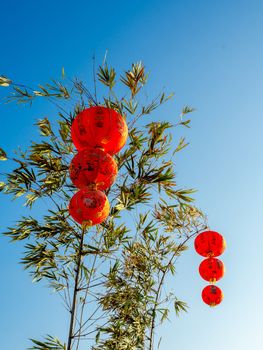 Red Chinese hanging lanterns on bamboo tree on blue sky background,  decoration for Chinese New Year vertical style. The text on lantern is meant as a greeting.