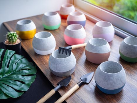 Cactus pot. Concrete pot. Empty colorful round concrete planters with garden tool set and green cactus on wooden table near glass window.