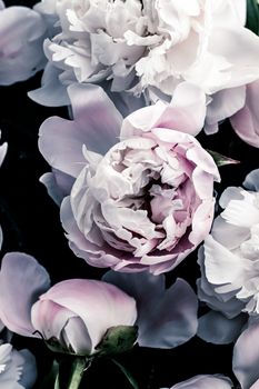 Pastel peony flowers as floral art background, botanical flatlay and luxury branding design