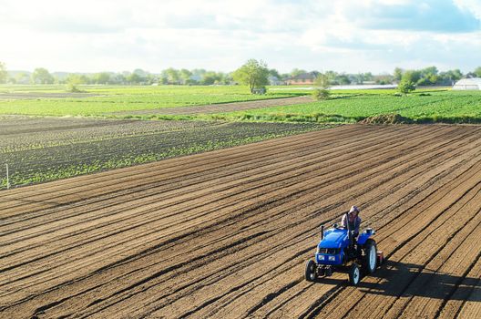 Farmer on a tractor cultivates a farm field. Grinding and loosening soil, removing plants and roots from past harvest. Field preparation for new crop planting. Cultivation equipment. Rural countryside