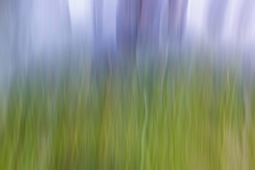 Blurry grass gradient background illustration with green yellow and purple color for designers and illustrators
