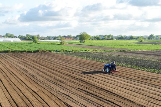 A tractor rides on a farm field. Loosening the surface, cultivating the land for further planting. Farmer on a tractor with milling machine loosens, grinds and mixes soil. Farming and agriculture.