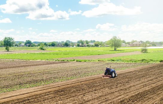 A tractor rides on a farm field. Loosening the surface, cultivating the land for further planting. Farming and agriculture. Farmer on a tractor with milling machine loosens, grinds and mixes soil.
