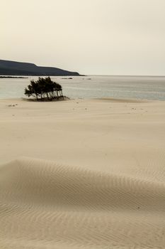 Sand dunes that are outlined forming a lunar landscape with gray