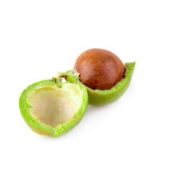Fresh Macadamia nuts isolated on a white background.