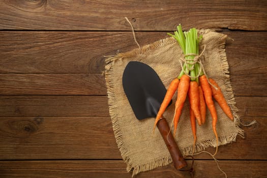 Fresh baby carrots on wooden cutting board and wooden background.