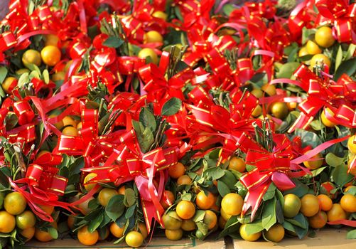 Calamondin or mini oranges are adorned with red and gold ribbons as good luck symbols for the Chinese New Year
