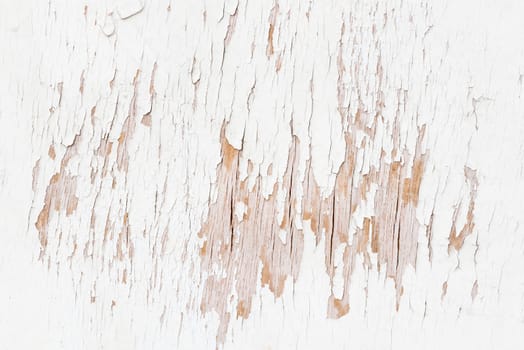 Abstract texture of old cracked paint on a white wooden door