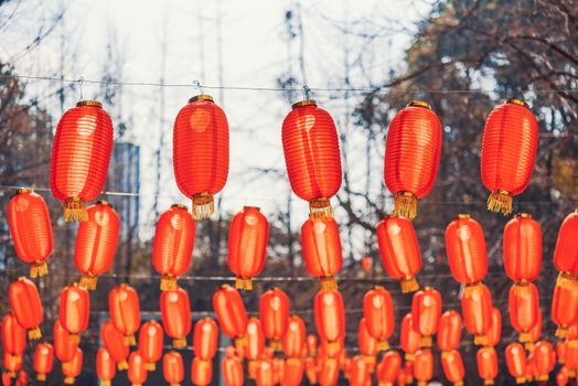 Red chinese lanterns hanging in a park for the chinese new year