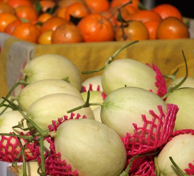 Muskmelons and oranges for sale at an outdoor market