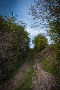 An old rustic wooden farm gate in the countryside with a dirt track and trees