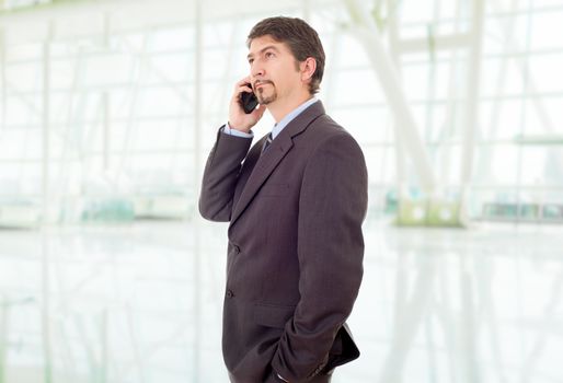 young business man on the phone, at the office