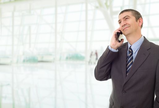 happy business man on the phone, at the office