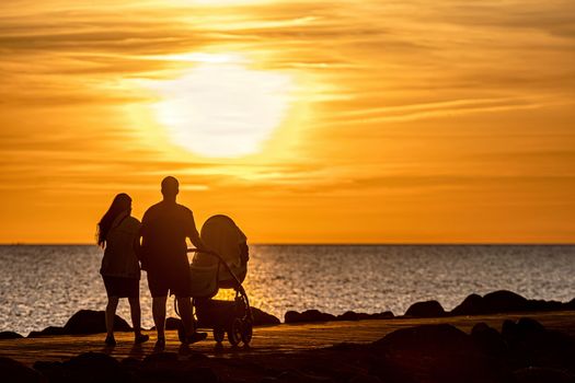 silhouette of people walking and biking on the pier during the golden hour of sunset