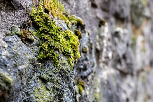 Close-up of an ancient fortress wall fragment, Switzerland - image