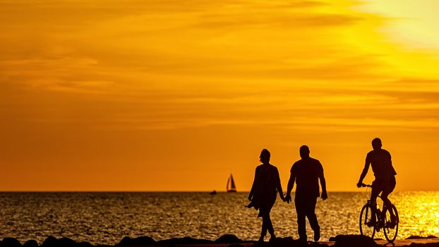 silhouette of people walking and biking on the pier during the golden hour of sunset