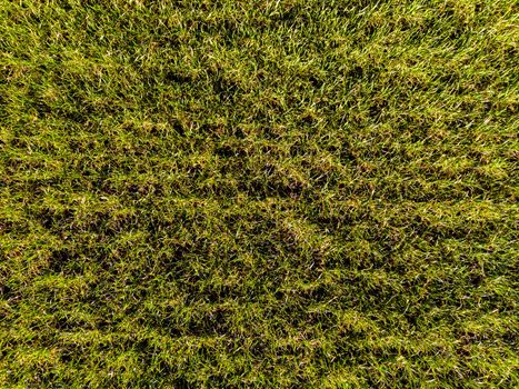 aerial top view from drone of  farm field in sunny spring day, backgraund concept