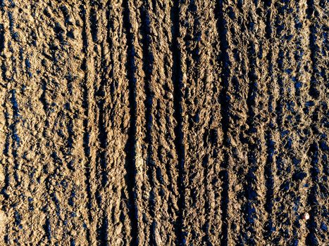 Aerial top view of  cultivated agricultural land in sunny spring day, textured backgraund