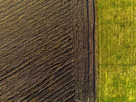 Aerial top view of  cultivated agricultural land and green meadow in sunny spring day, backgraund concept