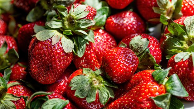 Fresh ripe perfect strawberry, Food Frame Background, selective focus - image