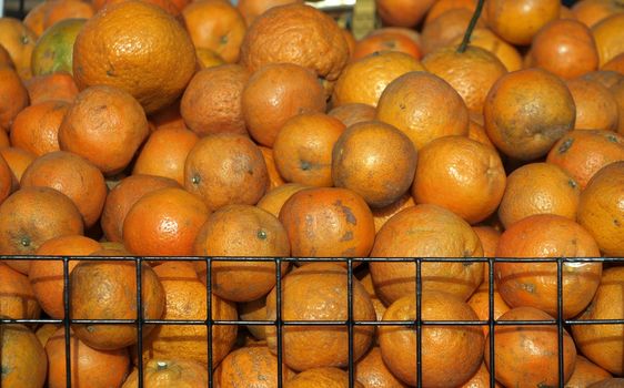 A market in Taiwan sells locally grown oranges
