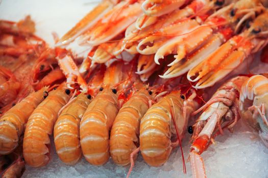 Fresh seafood on ice, variation of shrimp, crayfish, lobster at Seafood market close up