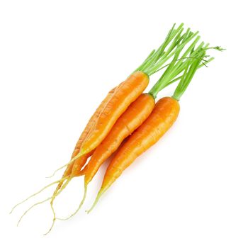 Bunch of baby carrots vegetable isolated on white background.