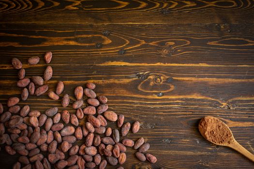 Cocoa beans and cocoa powder in wooden spoon on old natural wooden background.