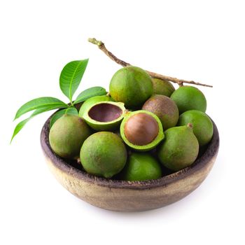 Macadamia nuts isolated on a white background.