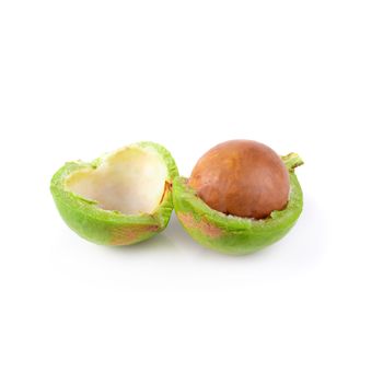 Fresh Macadamia nuts isolated on a white background.