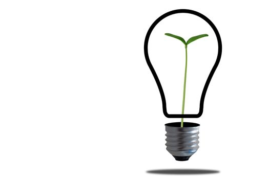 Power and energy concept, light bulb on white background, nature and ecology
