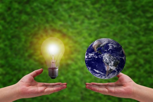 Green energy concept, hand and light bulb on grass background, nature and ecology, Elements of this image furnished by NASA