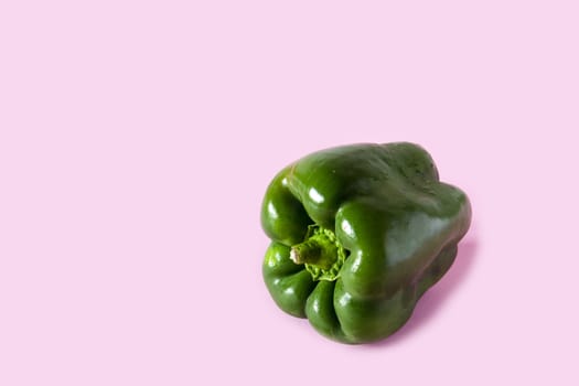 Fresh green pepper on pink background