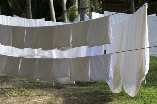 The white cloth is exposed to the sun on the clothesline. A large white cloth hung on a clothesline.