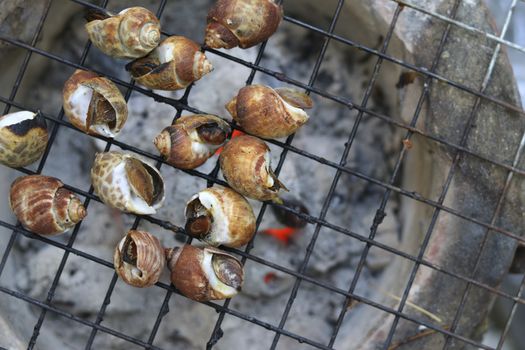 Spotted babylon snail grilled on the grill placed on the stove.