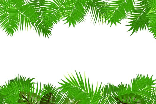 Web summer jungle frame banner. Green palm leaves template isolated white background. Vector abstract illustration. Realistic picture summer tropical Paradise mock up.