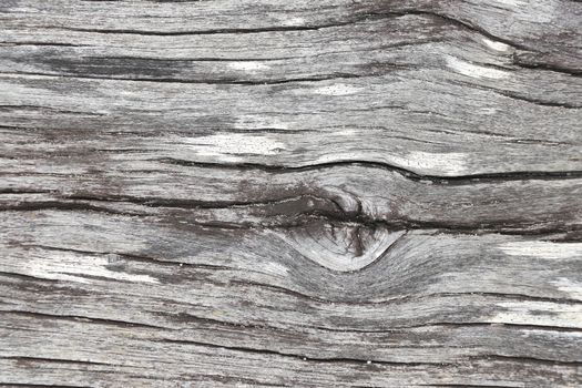 Old wood background. Old wood surface background.