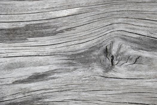 Old wood background. Old wood surface background.