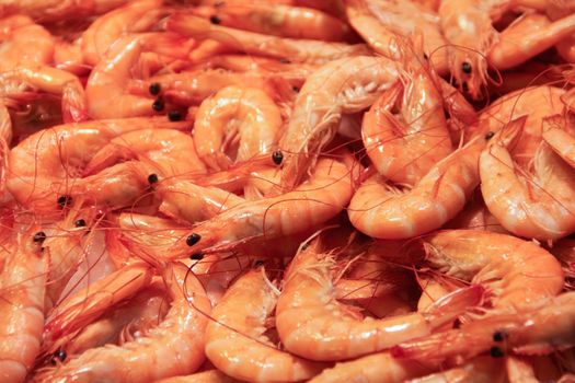Shrimp at fish market close up, seafood background