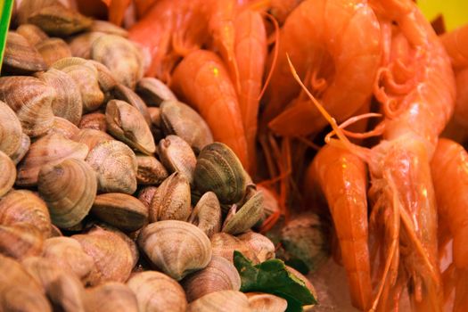 Raw fresh clams vongole seashells and shrimps background close-up at market