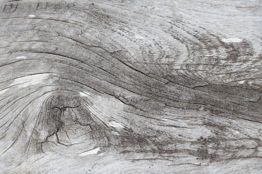 Old wood background. Old wood surface background.