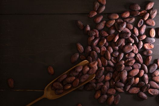 Top view of Cocoa beans in vintage table on dark background.