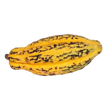 Cacao fruit, raw cacao beans, Cocoa pod isolated on white background.