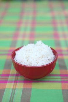Rice 