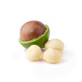 Macadamia nuts isolated on a white background.