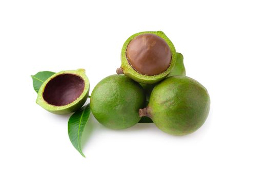 Macadamia nuts isolated on a white background.