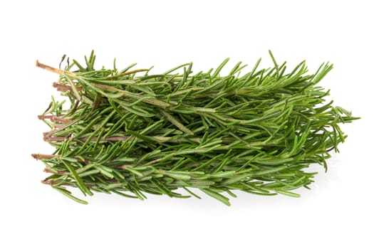 Fresh rosemary bunch isolated on white background.